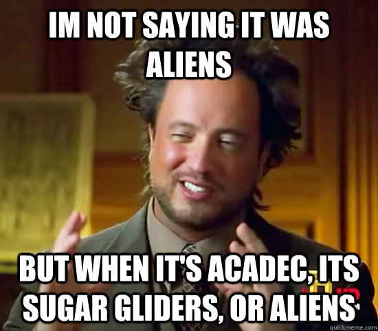 Im not saying it was aliens But when it's acadec, its sugar gliders, or aliens   Ancient Aliens