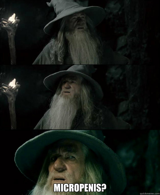  Micropenis?
  Confused Gandalf