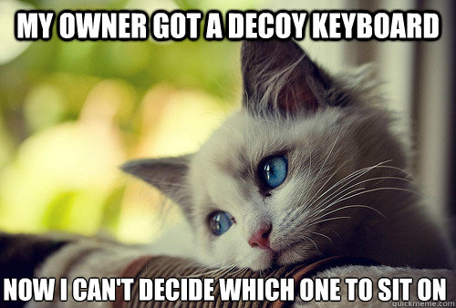 my owner got a decoy keyboard now I can't decide which one to sit on  First World Problems Cat