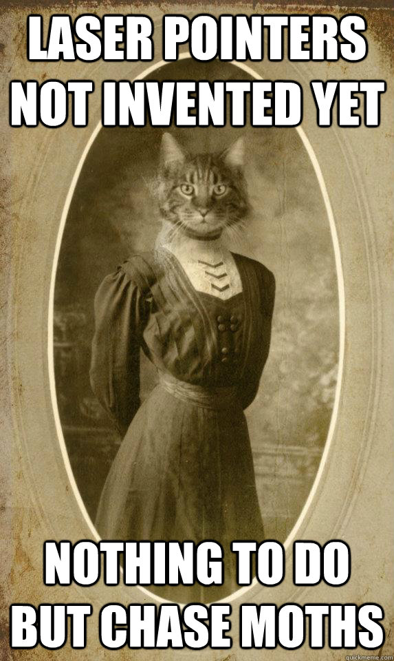 laser pointers not invented yet nothing to do but chase moths - laser pointers not invented yet nothing to do but chase moths  1890s Cat Problems