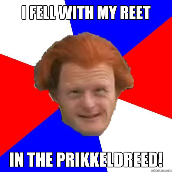 I fell with my reet In the prikkeldreed!  