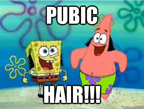 Pubic hair!!!  Spongebob