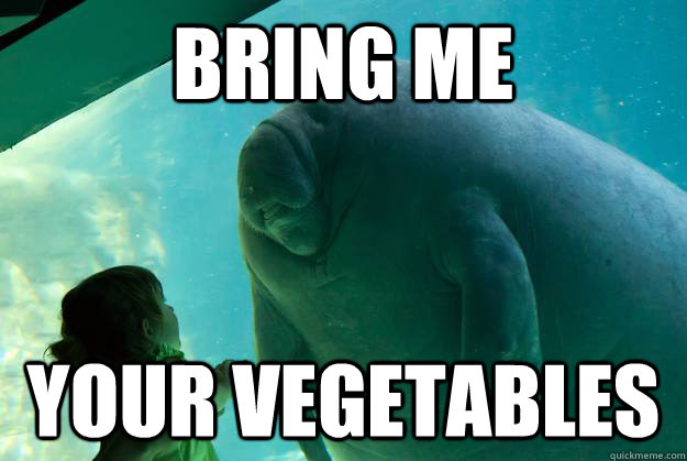 bring me your vegetables  Overlord Manatee