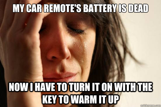 My car remote's battery is dead Now I have to turn it on with the key to warm it up  First World Problems