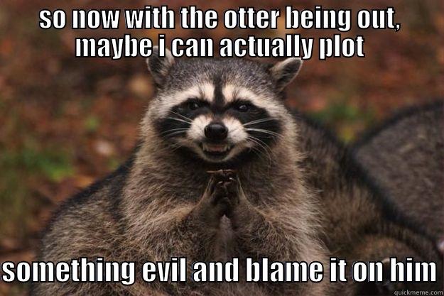 SO NOW WITH THE OTTER BEING OUT, MAYBE I CAN ACTUALLY PLOT  SOMETHING EVIL AND BLAME IT ON HIM Evil Plotting Raccoon