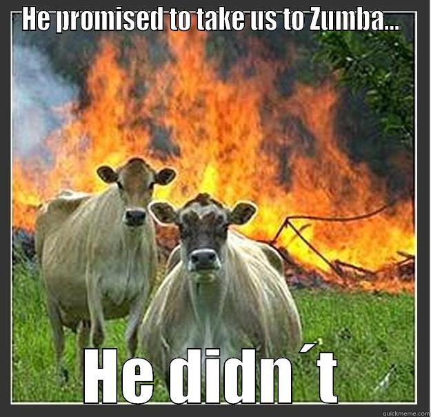 Cows pay back - HE PROMISED TO TAKE US TO ZUMBA...  HE DIDN´T Evil cows