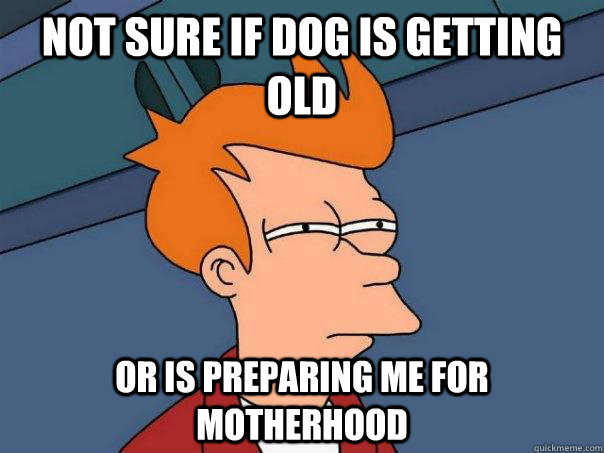 Not sure if dog is getting old Or is preparing me for motherhood  Futurama Fry