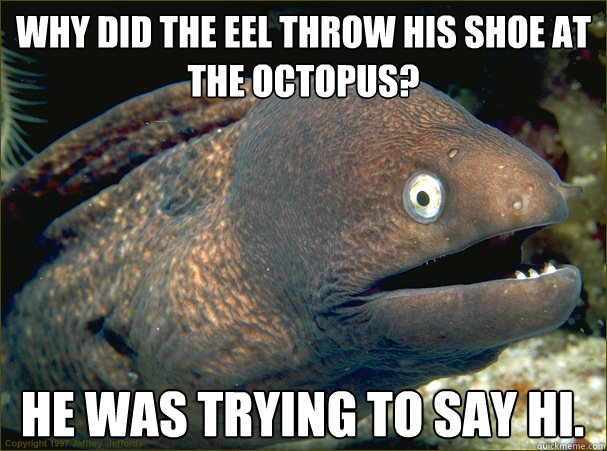 Why did the eel throw his shoe at the octopus? He was trying to say hi. - Why did the eel throw his shoe at the octopus? He was trying to say hi.  Bad Joke Eel