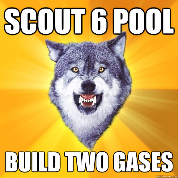 Scout 6 pool Build two gases  Courage Wolf