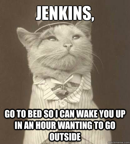 Jenkins, go to bed so i can wake you up in an hour wanting to go outside  Aristocat