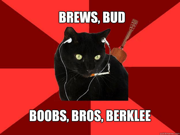 Brews, Bud Boobs, bros, berklee  Berklee Cat