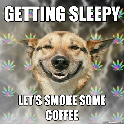 Getting sleepy Let's smoke some coffee  Stoner Dog