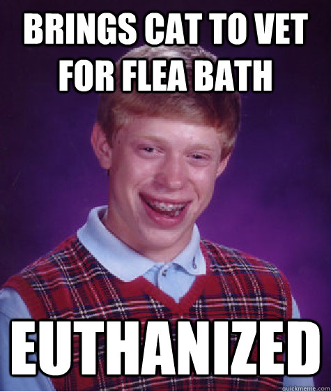 Brings cat to vet for flea bath euthanized  Bad Luck Brian