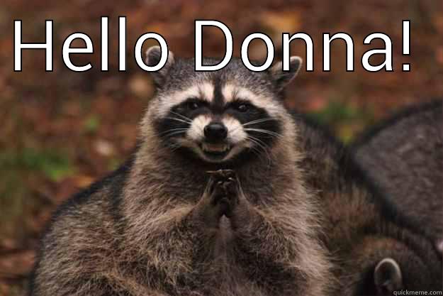 Hi Donna! - HELLO DONNA!  Evil Plotting Raccoon