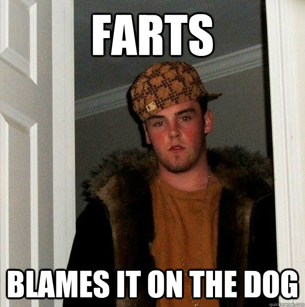 FARTS BLAMES IT ON THE DOG  Scumbag Steve