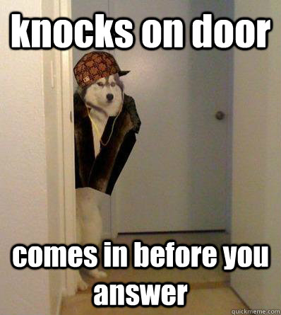 knocks on door comes in before you answer  Scumbag dog