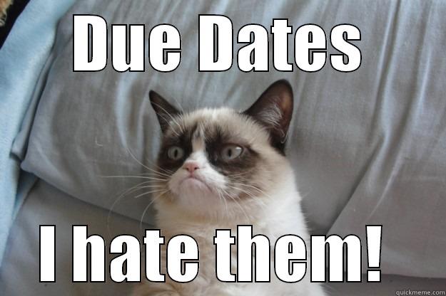 Grumpy UVIC Cat - DUE DATES I HATE THEM!  Grumpy Cat