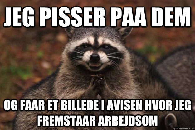 jeg pisser paa dem og faar et billede i avisen hvor jeg fremstaar arbejdsom  Evil Plotting Raccoon