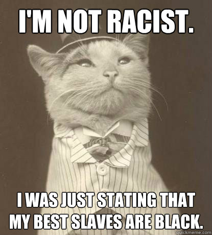 I'm not racist. i was just stating that my best slaves are black.  Aristocat