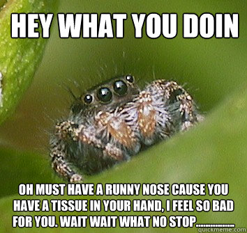 hey what you doin oh must have a runny nose cause you have a tissue in your hand, I feel so bad for you. wait wait what no stop................  Misunderstood Spider