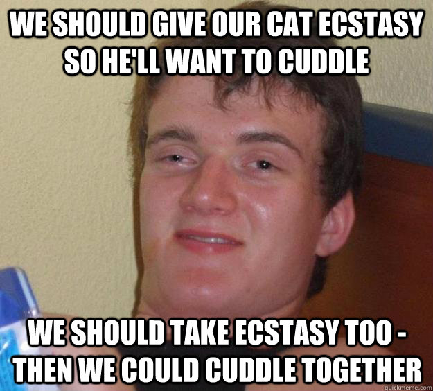 We should give our cat ecstasy so he'll want to cuddle We should take ecstasy too - then we could cuddle together  10 Guy