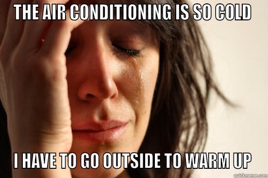 THE AIR CONDITIONING IS SO COLD I HAVE TO GO OUTSIDE TO WARM UP First World Problems