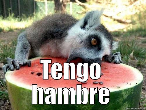  TENGO HAMBRE Misc