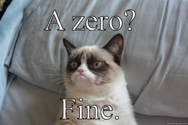 A ZERO? FINE. Grumpy Cat