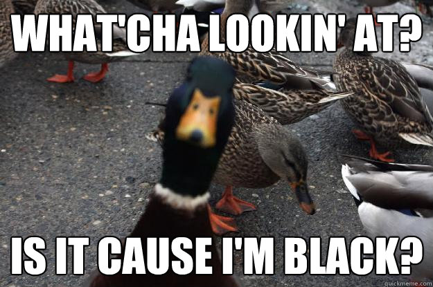 What'cha lookin' at? is it cause I'm black?  In yo face Duck