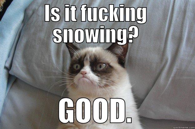 IS IT FUCKING SNOWING? GOOD. Grumpy Cat