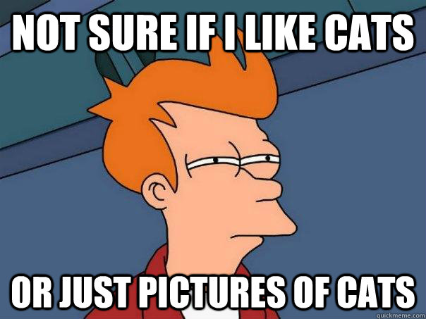 Not sure if i like cats or just pictures of cats - Not sure if i like cats or just pictures of cats  Futurama Fry