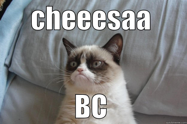 CHEEESAA BC Grumpy Cat