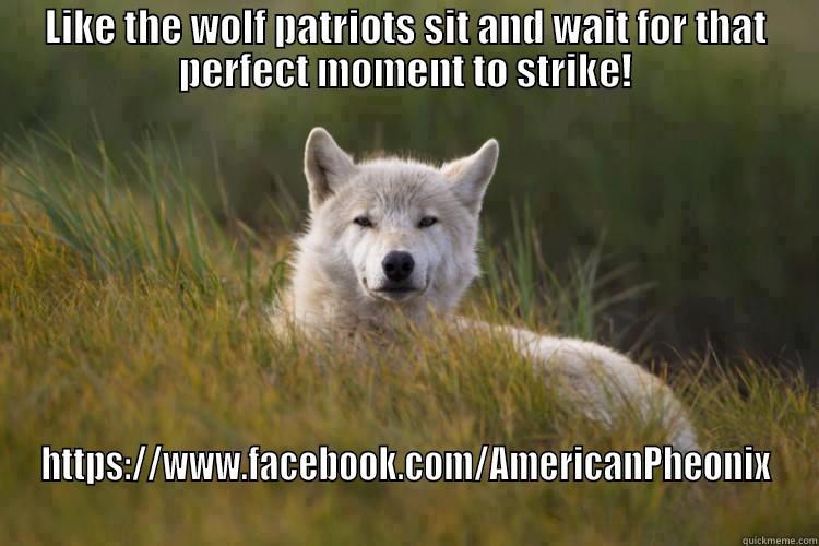 LIKE THE WOLF PATRIOTS SIT AND WAIT FOR THAT PERFECT MOMENT TO STRIKE! HTTPS://WWW.FACEBOOK.COM/AMERICANPHEONIX Misc