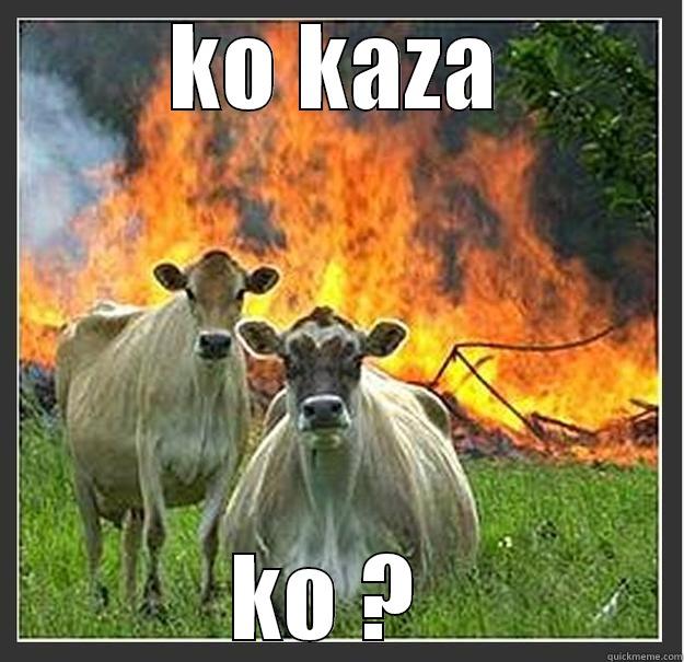 angry offca - KO KAZA KO ?  Evil cows