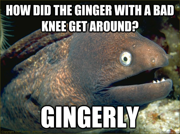 How did the ginger with a bad knee get around? Gingerly - How did the ginger with a bad knee get around? Gingerly  Bad Joke Eel