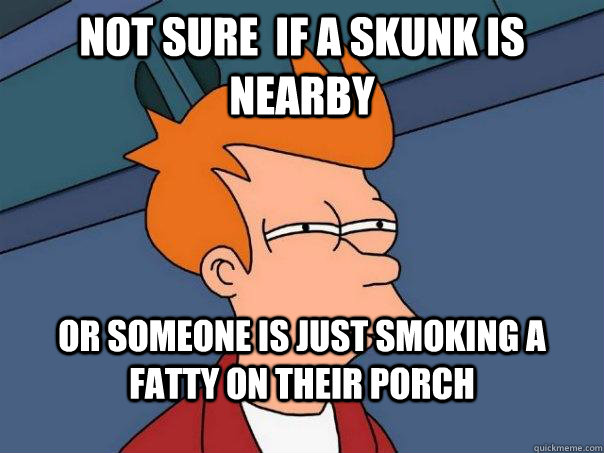 Not sure  if a skunk is nearby Or someone is just smoking a fatty on their porch  Futurama Fry