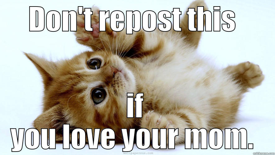 DON'T REPOST THIS  IF YOU LOVE YOUR MOM.  Misc