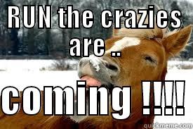 RUN THE CRAZIES ARE ..  COMING !!!! Misc