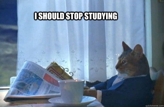 i-should-stop-studying-sophisticated-cat-quickmeme