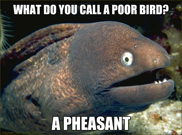 what do you call a poor bird? a pheasant  Bad Joke Eel