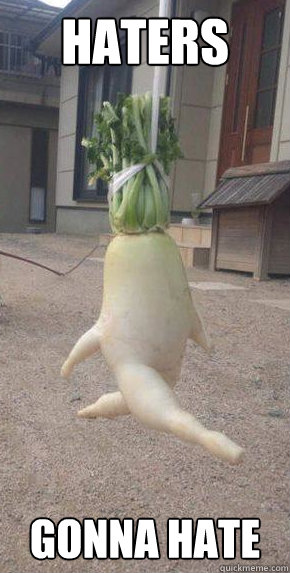 haters gonna hate  Dancing Radish