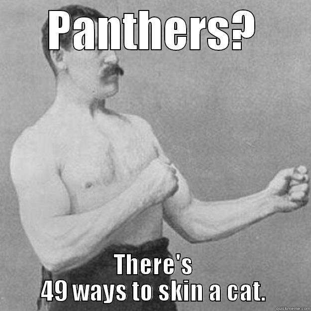 skin cat - PANTHERS? THERE'S 49 WAYS TO SKIN A CAT. overly manly man