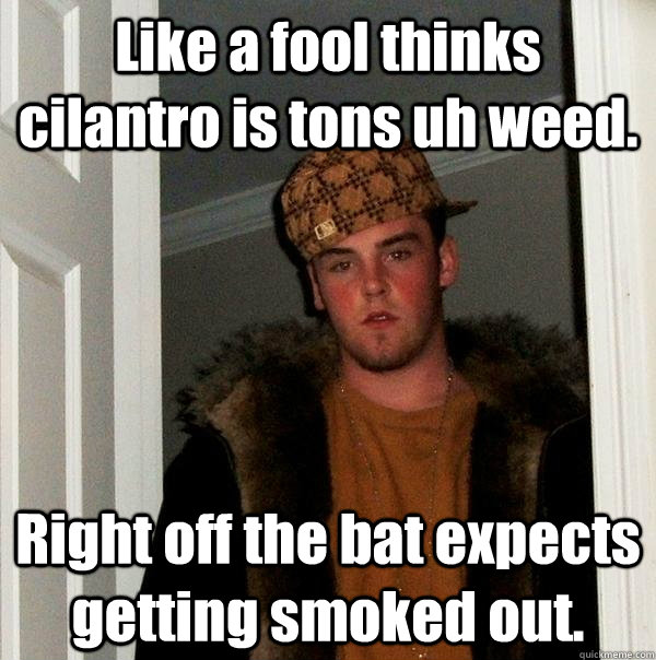 Like a fool thinks cilantro is tons uh weed. Right off the bat expects getting smoked out.  Scumbag Steve