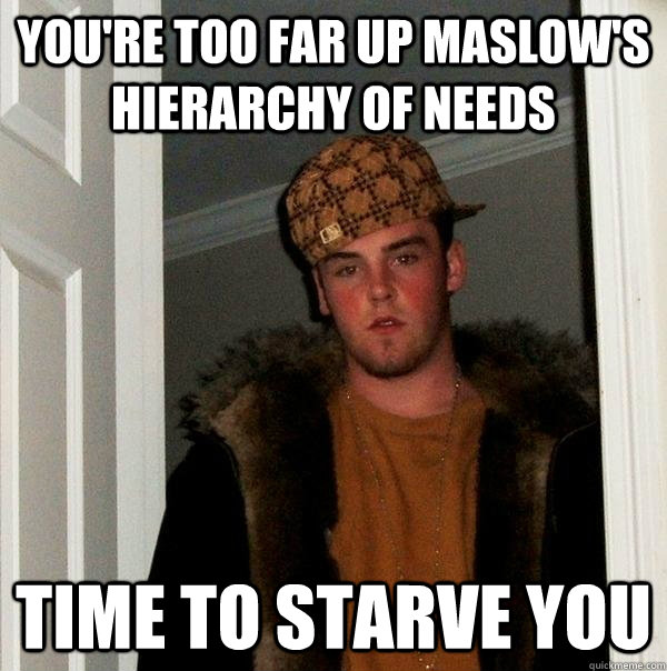 YOU'RE TOO FAR UP MASLOW'S HIERARCHY OF NEEDS TIME TO STARVE YOU  Scumbag Steve