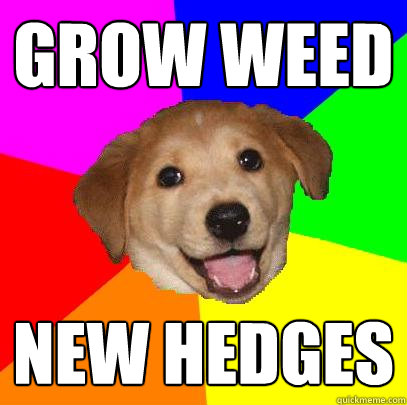 grow weed new hedges  Advice Dog