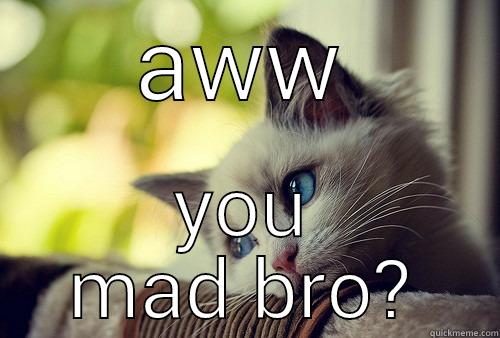 AWW YOU MAD BRO? First World Problems Cat