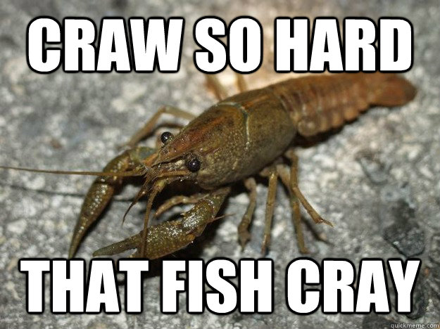 CRAW SO HARD that fish cray  that fish cray