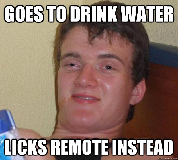 goes to drink water licks remote instead  10 Guy