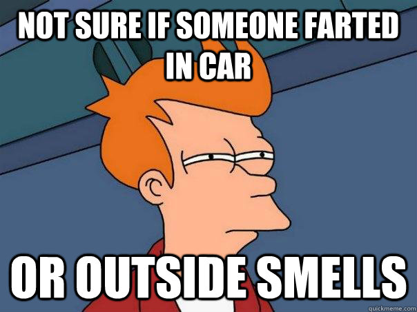 Not sure if someone farted in car or outside smells  Futurama Fry