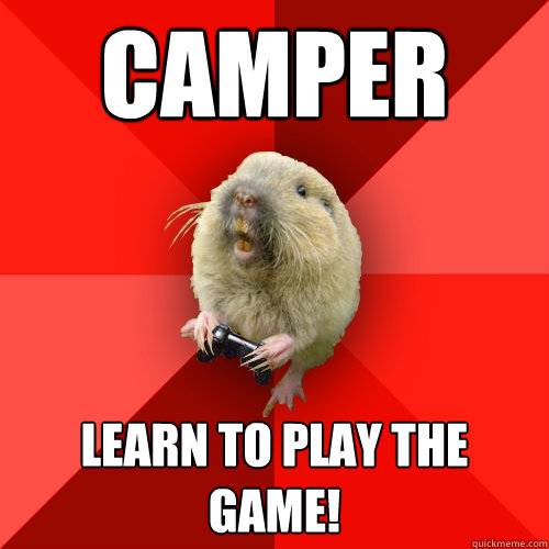 Camper learn to play the game!  Gaming Gopher